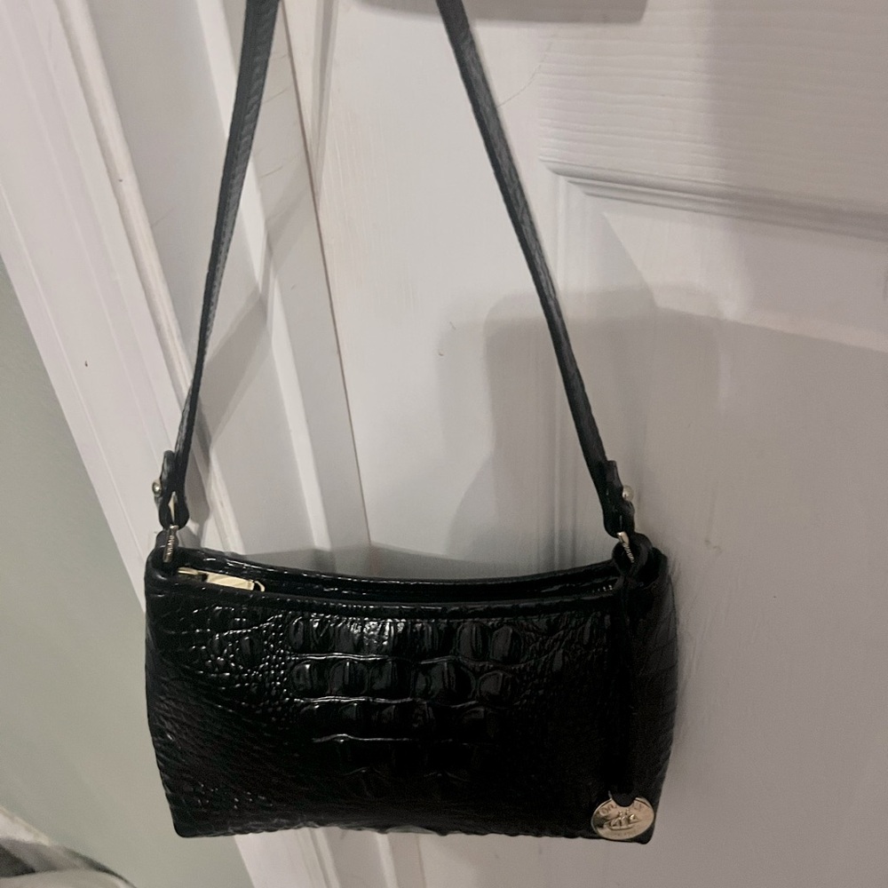 Brahmin mini